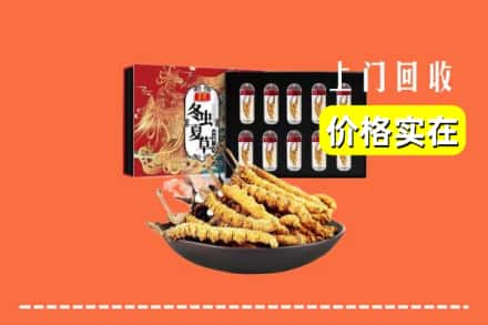 太仆寺旗回收冬虫夏草